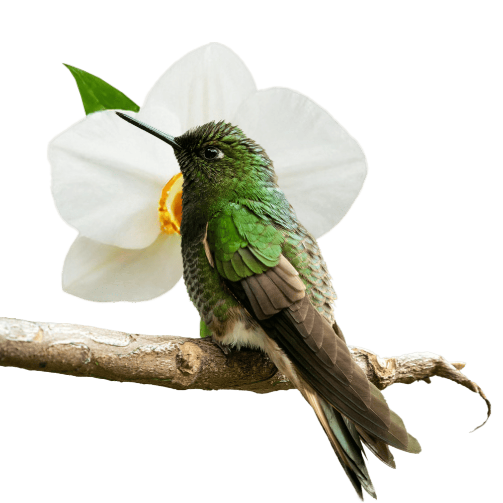 Ecosistemas y biodiversidad